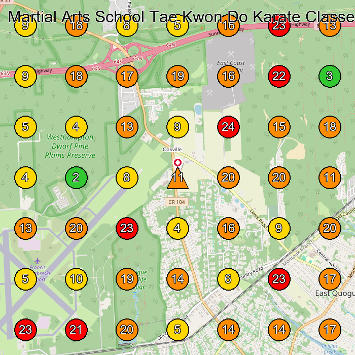 Martial Arts School Tae Kwon Do Karate Classes Martial Arts School GeoGrid ranking map for East Quogue NY